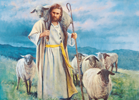 shepherd